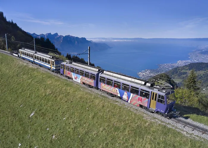 Les Salines Daire Roche